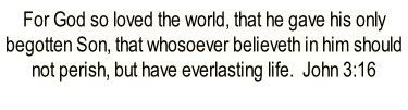 For God so loved the world, that he gave his only begotten Son, that whosoever believeth in him should not perish, but have everlasting life.  John 3:16